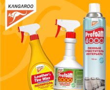 Вебинар KANGAROO 30 июля